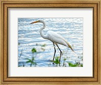 Framed By The Lake Egret