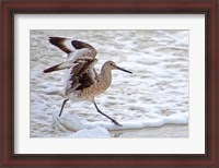 Framed Frolicking In Waves