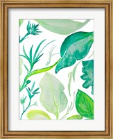 Framed Green Water Leaves II