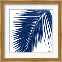 Framed Indigo Baru Palm I