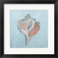 Framed Conch & Scallop I