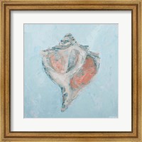 Framed Conch & Scallop I