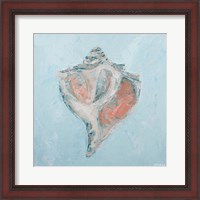 Framed Conch & Scallop I