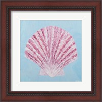 Framed Conch & Scallop II