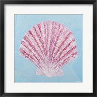 Conch & Scallop II Framed Print