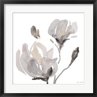 Framed Gray Tonal Magnolias I