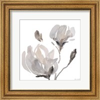 Framed Gray Tonal Magnolias I