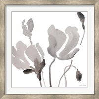 Framed Gray Tonal Magnolias III
