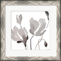 Framed Gray Tonal Magnolias III