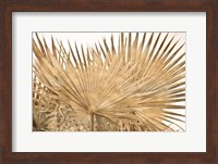 Framed Dry Palm Leaves Panel