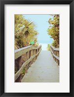 Framed Palm Walkway II