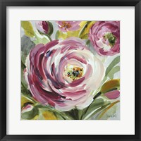Framed Ranunculus Rosa I