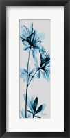 Framed Blue Azalea