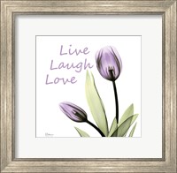 Framed Purple Tulips Live Laugh Love
