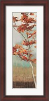 Framed Maple Tree I