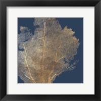 Gold Coral I Framed Print