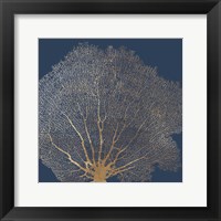 Gold Coral II Framed Print