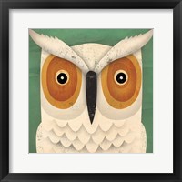 Framed White Owl