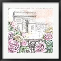 Framed Paris Roses V