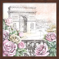 Framed Paris Roses V