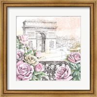 Framed Paris Roses V