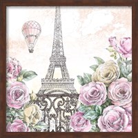 Framed Paris Roses VI