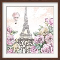 Framed Paris Roses VI