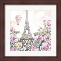 Framed Paris Roses VI