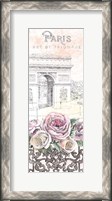 Framed Paris Roses Panel VII