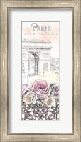 Framed Paris Roses Panel VII