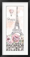 Framed Paris Roses Panel VIII