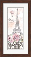 Framed Paris Roses Panel VIII