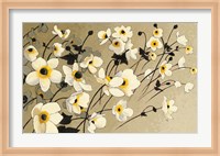 Framed Anemones Japonaises Blancs