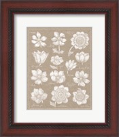 Framed Anemone Plate I