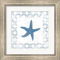 Framed Navy Starfish on Newsprint