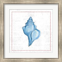 Framed Navy Conch Shell on Newsprint with Red
