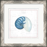 Framed Navy Nautilus Shell on Newsprint with Red