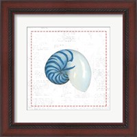 Framed Navy Nautilus Shell on Newsprint with Red