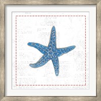 Framed Navy Starfish on Newsprint with Red