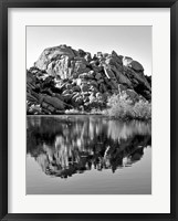 Framed Joshua Tree Lake BW