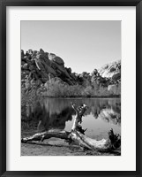 Framed Joshua Tree Lake with Log BW