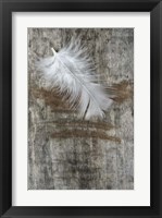 Framed White Feather on Wood