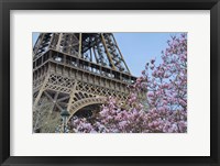 Framed Eiffel Tower with Pink Magnolia