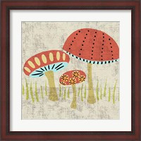 Framed Ada's Mushrooms