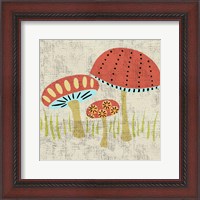 Framed Ada's Mushrooms