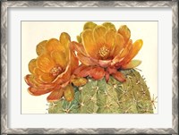 Framed Cactus Blossoms II