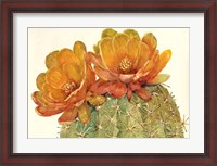 Framed Cactus Blossoms II