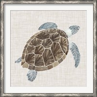Framed Sea Turtle I