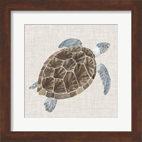 Framed Sea Turtle I