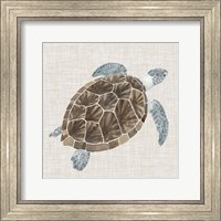 Framed Sea Turtle I